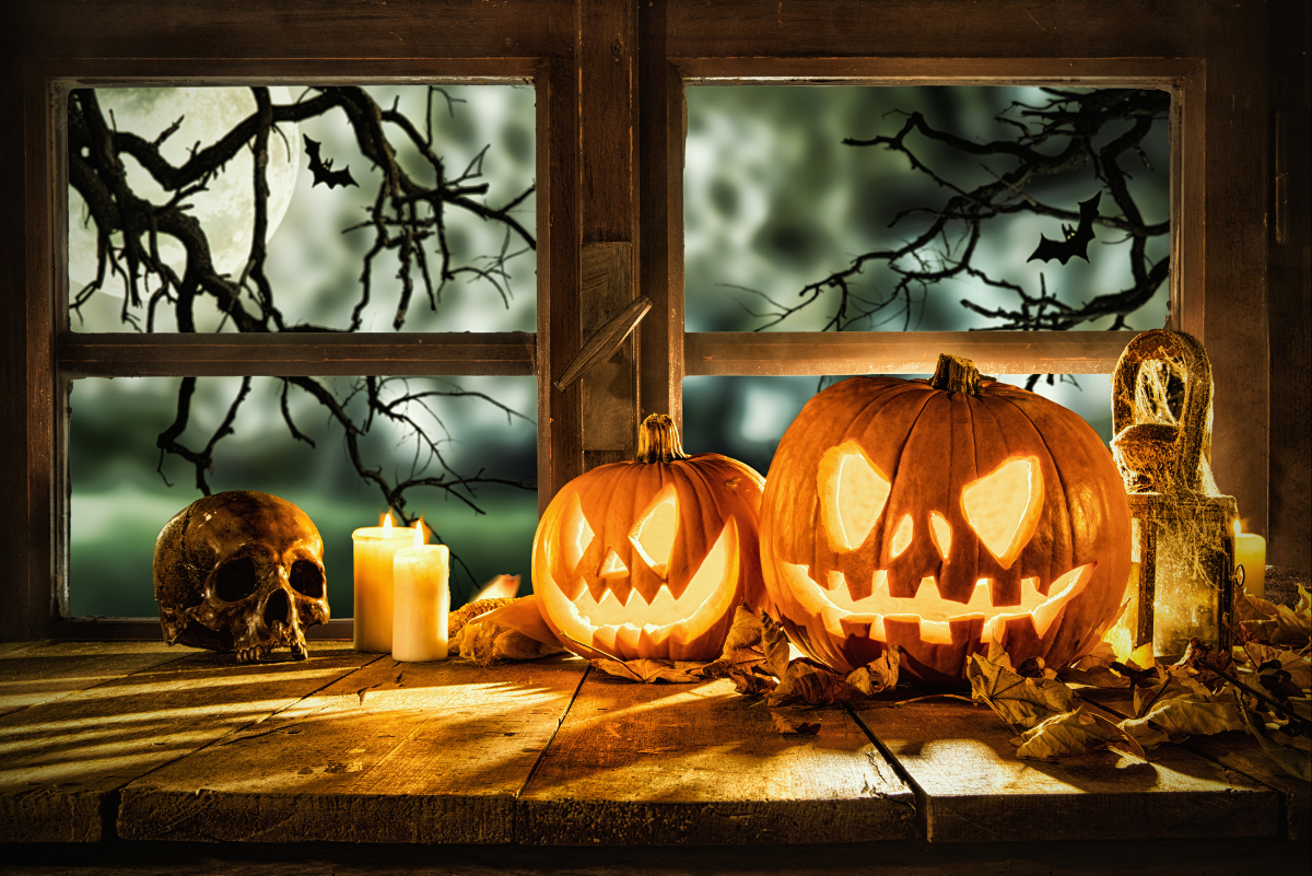 Welcome to the land of Halloween - Ready for an unforgettable spooky night?