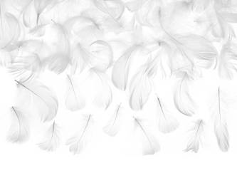 Decorative Feathers - White - 3g