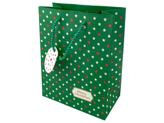 Gift Bag - CHRISTMAS - Green with stars - 227x177x100mm