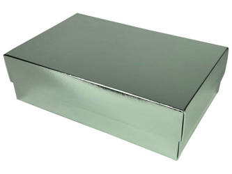 Laminated Box - Silver - 255x160x75 mm