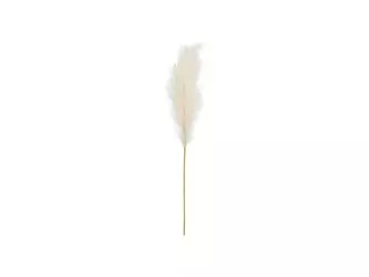 Pampas grass - Light cream - 15x110 cm