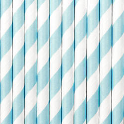 Paper Straws - Light Blue - 19,5 cm - 10 pcs