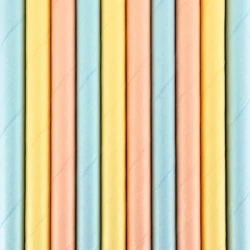 Paper straws - Summer Time - Mix - 10 pieces