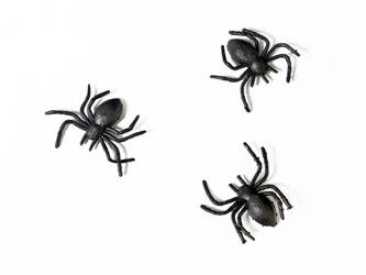 Plastic Spiders - Black - 10 pieces