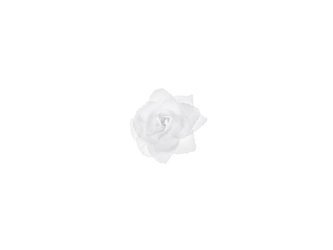 Sticky roses - 9 cm - white - 24 pcs.