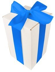 WHITE CARDBOARD BOX - with blue ribbon - 25x15x15cm