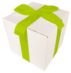 WHITE CARDBOARD BOX - with green ribbon - 25x25x25cm