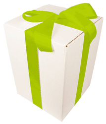 WHITE CARDBOARD BOX - with green ribbon - 35x25x25cm