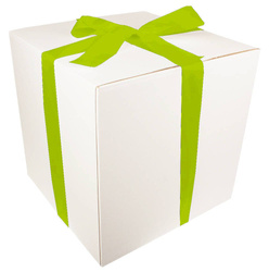 WHITE CARDBOARD BOX - with green ribbon - 40x40x40cm