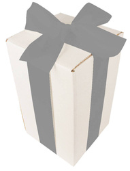 WHITE CARDBOARD BOX - with silver ribbon - 25x15x15cm