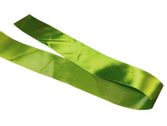 Satin ribbon - Green Apple - 50mm / 1m