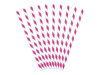 Paper Straws - White and Dark Pink - Slanted Stripes - 19.5 cm - 10 pieces