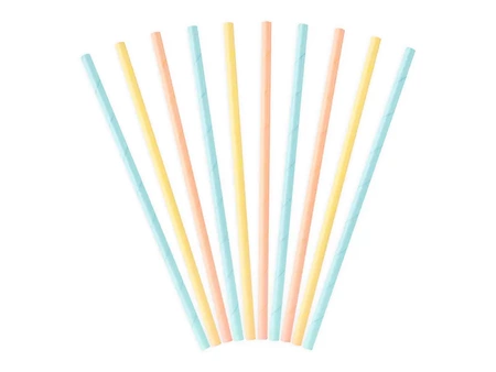 Paper straws - Summer Time - Mix - 10 pieces