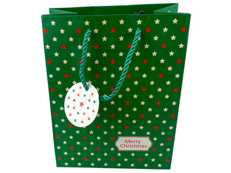 Gift Bag - CHRISTMAS - Green with stars - 227x177x100mm