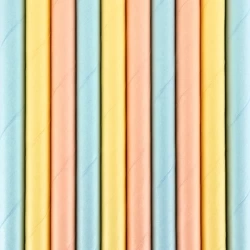 Paper straws - Summer Time - Mix - 10 pieces