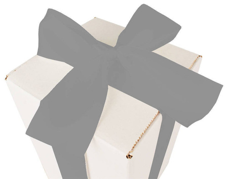 WHITE CARDBOARD BOX - with silver ribbon - 25x15x15cm