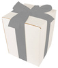 WHITE CARDBOARD BOX - with silver ribbon - 20x20x25cm