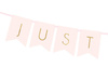 Banner - Just Married - Light Pink - 15 x 155 cm