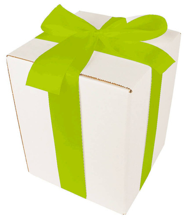 WHITE CARDBOARD BOX - with green ribbon - 20x20x25cm