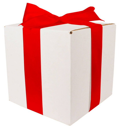 WHITE CARDBOARD BOX - with red ribbon - 20x20x20cm