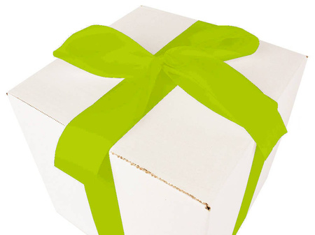 WHITE CARDBOARD BOX - with green ribbon - 25x25x25cm