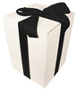 WHITE CARDBOARD BOX - with black ribbon - 35x25x25cm