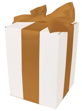 WHITE CARDBOARD BOX - with light gold ribbon - 15x15x20cm