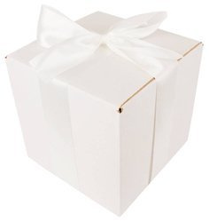 WHITE CARDBOARD BOX - with light cream ribbon - 20x20x20cm