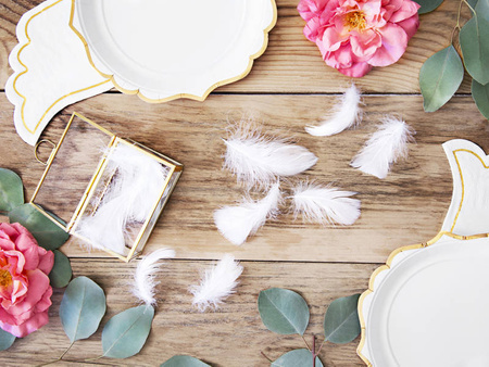 Decorative Feathers - White - 3g