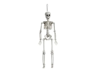 Decoration - Skeleton - 40 cm - 1 pc.