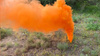 PRESSURE MINA - Smokey - Paintball - ASG - MN-1 - B&G