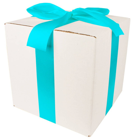 WHITE CARDBOARD BOX - with blue ribbon - 25x25x25cm