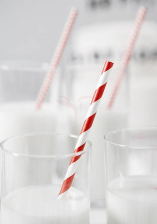 Paper Straws - White and Red - Slanted Stripes - 19.5 cm - 10 pieces