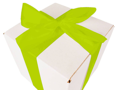 WHITE CARDBOARD BOX - with green ribbon - 20x20x20cm