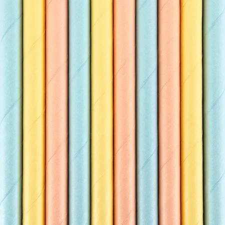 Paper straws - Summer Time - Mix - 10 pieces