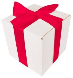 WHITE CARDBOARD BOX - with dark pink ribbon - 20x20x20cm