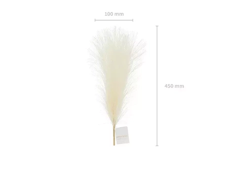 Pampas grass - Light cream - 10 x 45 cm 