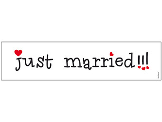 License plate - Just Married!!! - 50 x 11.5 cm