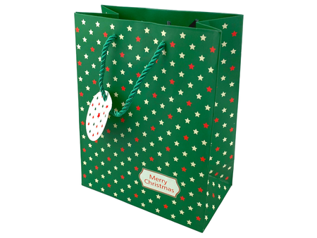 Gift Bag - CHRISTMAS - Green with stars - 227x177x100mm