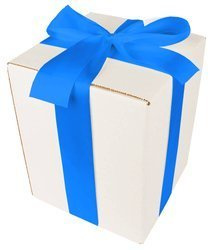 WHITE CARDBOARD BOX - with blue ribbon - 20x20x25cm