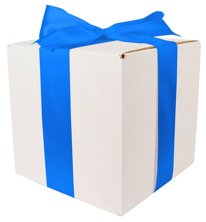 WHITE CARDBOARD BOX - with blue ribbon - 20x20x20cm