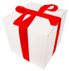 WHITE CARDBOARD BOX - with red ribbon - 30x30x30cm