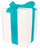 WHITE CARDBOARD BOX - with turquoise ribbon - 20x20x25cm