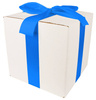 WHITE CARDBOARD BOX - with blue ribbon - 25x25x25cm