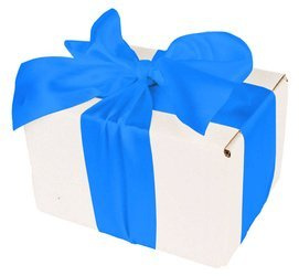 WHITE CARDBOARD BOX - with blue ribbon - 13x10x8cm