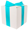 WHITE CARDBOARD BOX - with blue ribbon - 20x20x20cm