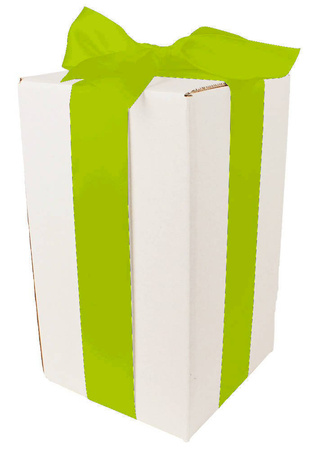 WHITE CARDBOARD BOX - with green ribbon - 25x15x15cm