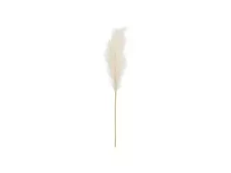 Pampas grass - Light cream - 15x110 cm