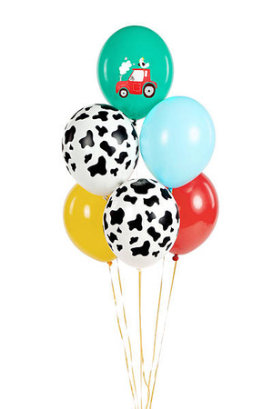  Balloons 30 cm - Farm - 6 pcs