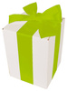 WHITE CARDBOARD BOX - with green ribbon - 15x15x20cm